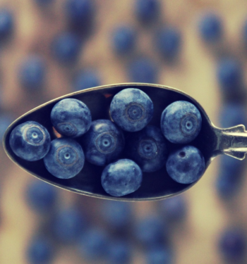 blueberries-4886896_1280 blueberries-4886896_1280