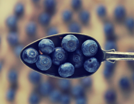 blueberries-4886896_1280