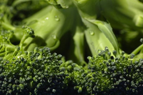 broccoli-1792236_640
